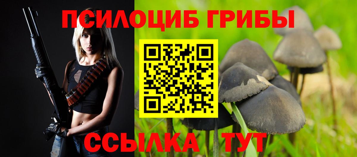 Ульяновск  Псилоцибиновые грибы Psilocybe  Вход с VPN 